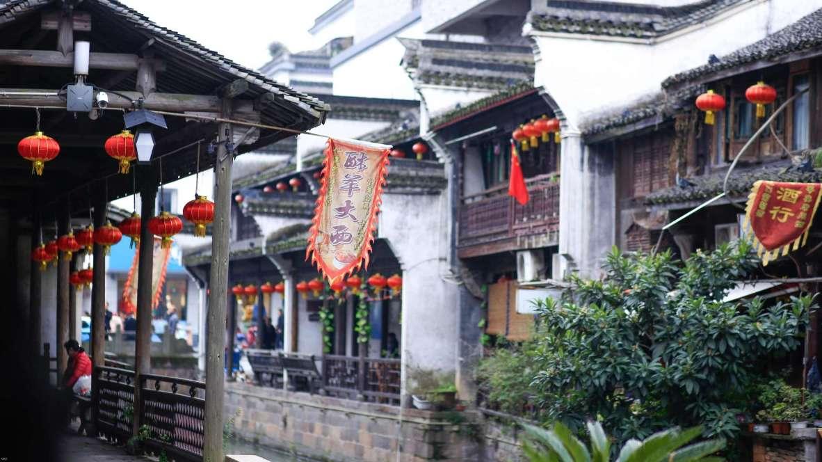 李昊的菌菇大世界